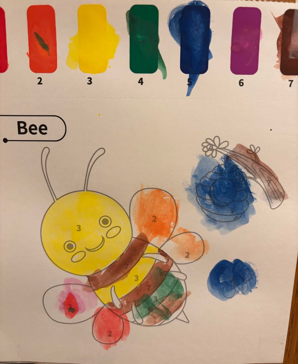 Customer photo review of Water Coloring Books