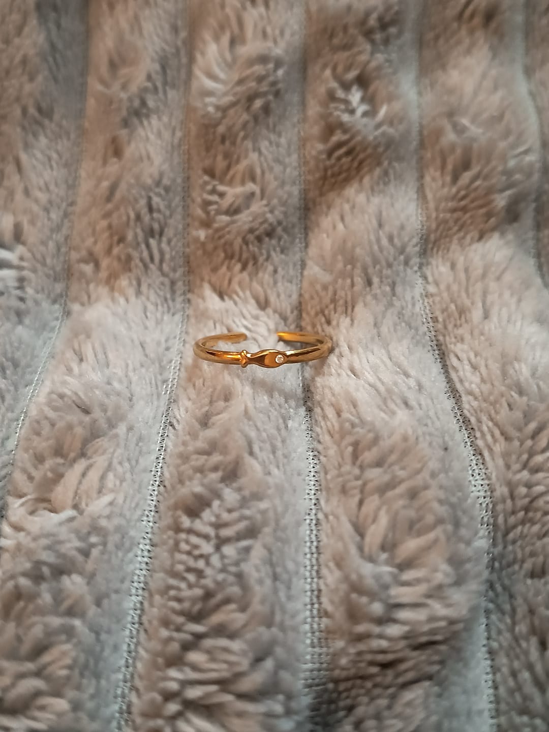 Customer photo review of Aruba - Fish Ring Stainless Steel