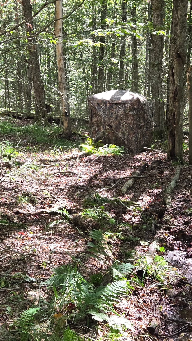 Customer photo review of Vis360 See Through Ground Blind | 360° Camouflage Pop Up Hunting Blind for 2/3/4 Person | Portable Deer Blind with Orange Cover