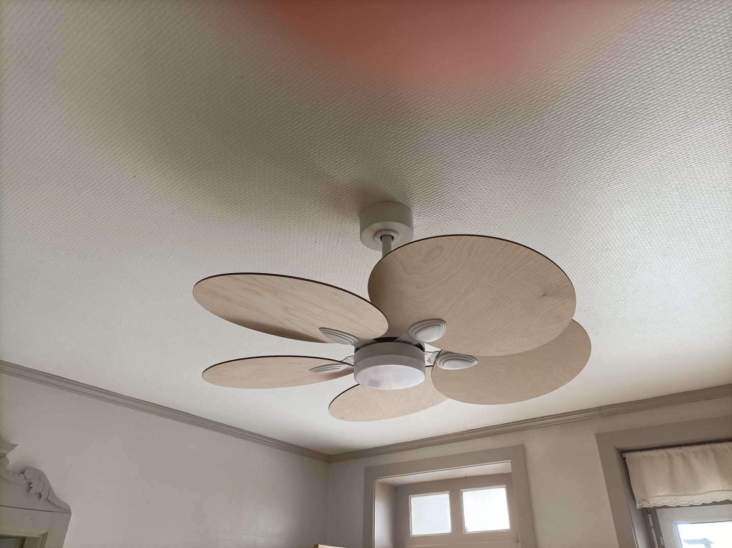 Customer photo review of Lotus | Ventilateur de plafond