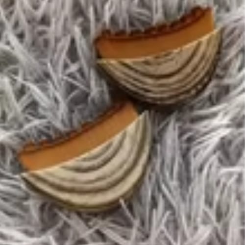 Customer photo review of Cepillo Para Masajes de Drenaje Linfatico