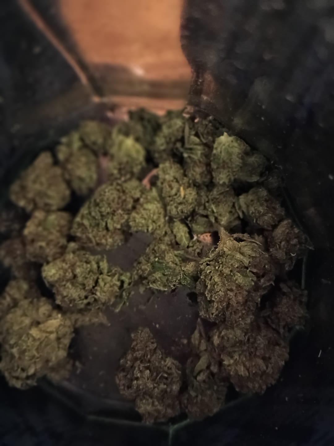 Customer photo review of Gotti OG THCA Don Flower