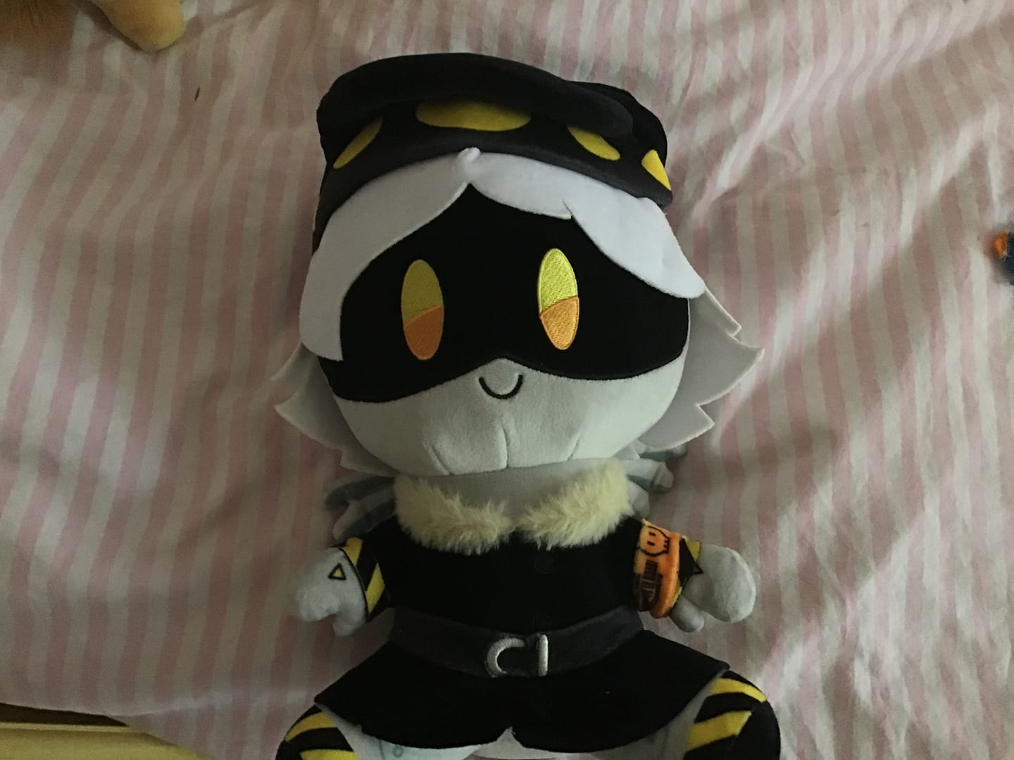 Customer photo review of N Plush