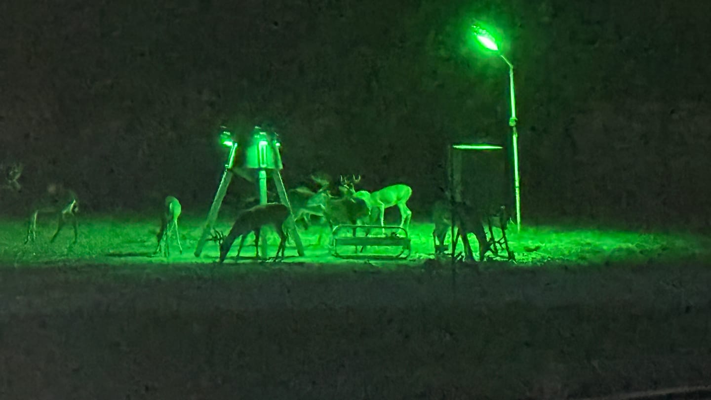 Customer photo review of Powereful Solar Green Feeder Light for Hunting-25,000 lumens