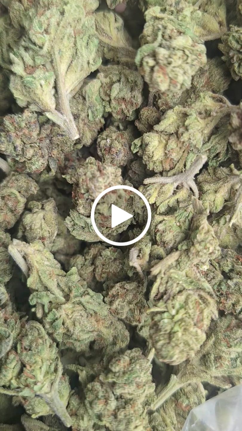 Customer video review of Light Assist THCA Smalls