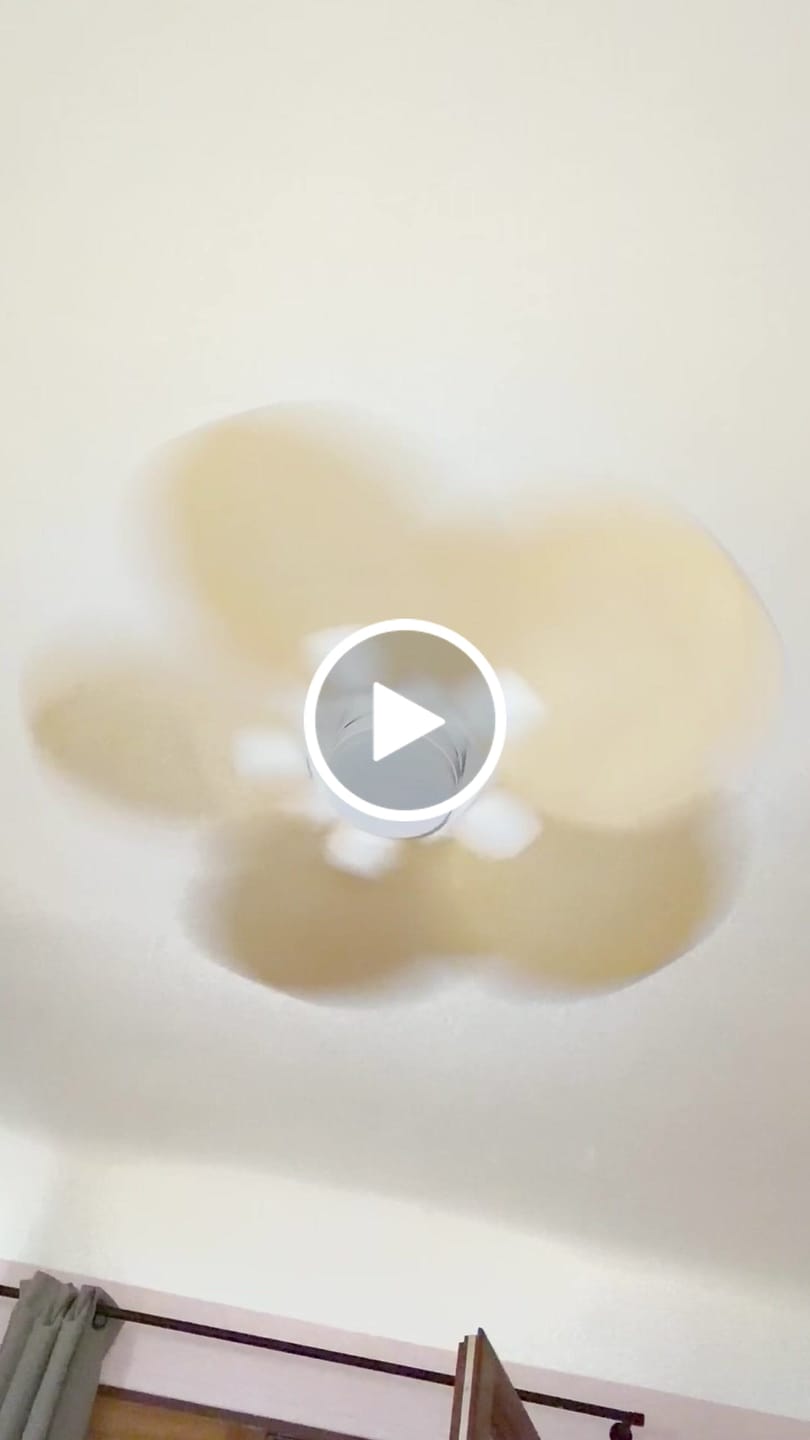 Customer video review of Lotus teinté Chêne | Ventilateur de plafond – Ø 105 cm