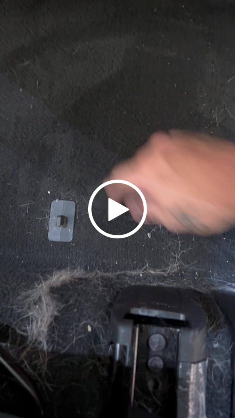 Customer video review of BLACKLINE® PET HAIR BRUSH
