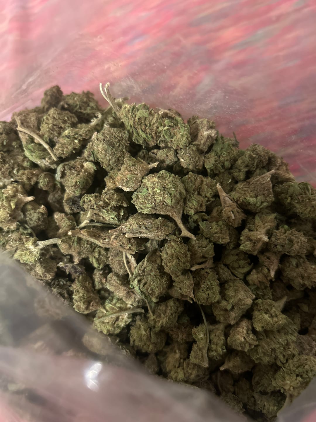 Customer photo review of Strawberry Gelato Minis - Bulk Minis - Hybrid