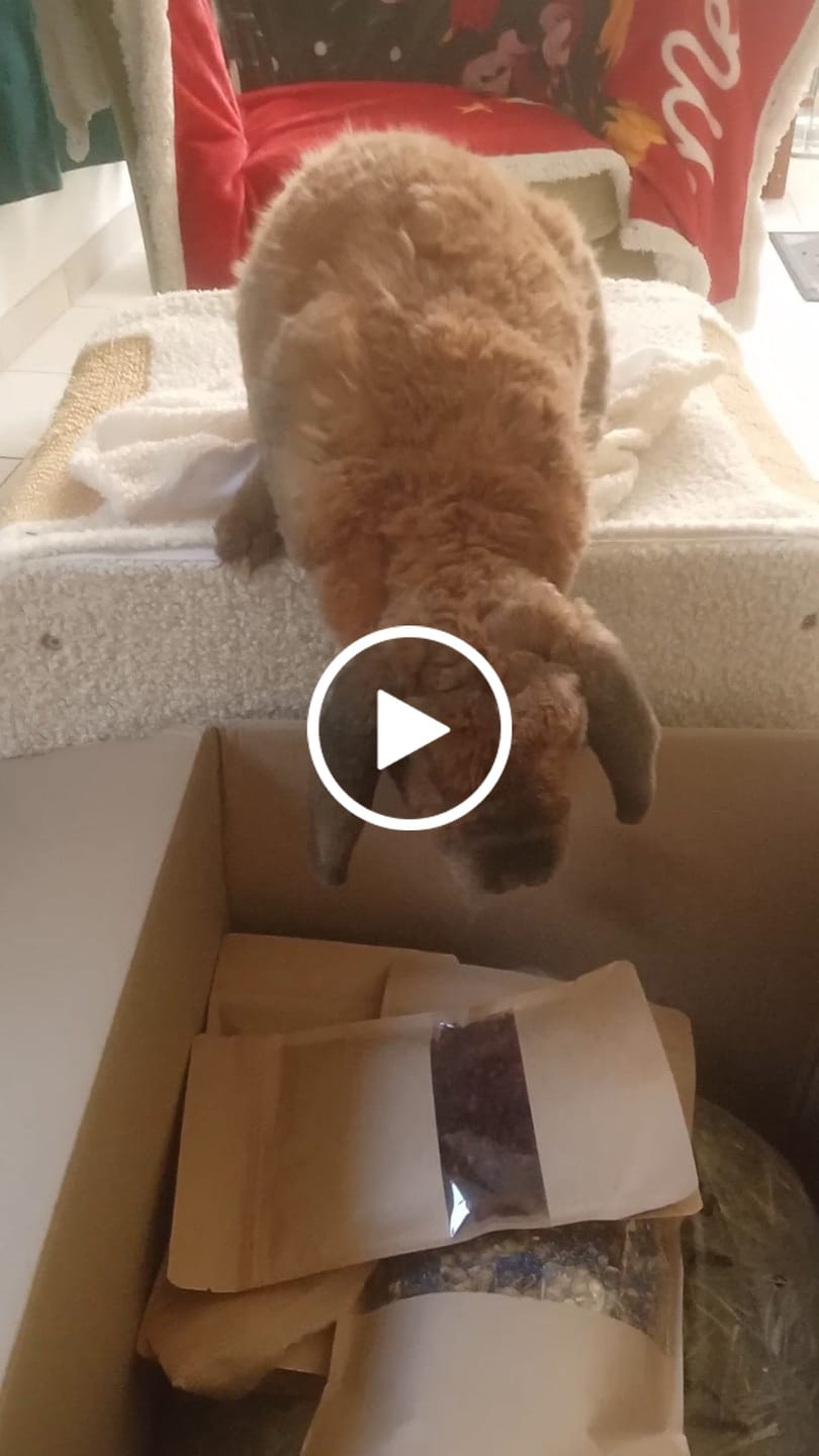 Customer video review of Le Cartable Gourmand - Box de la rentrée pour lapin & cochon d'Inde | Édition limitée