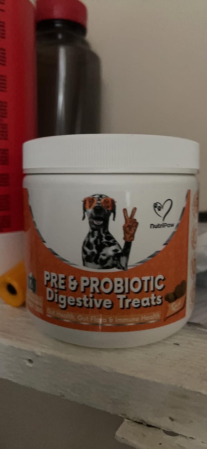 Customer photo review of Daily Probiotic Chews for Dogs | Gut & Digestive Support