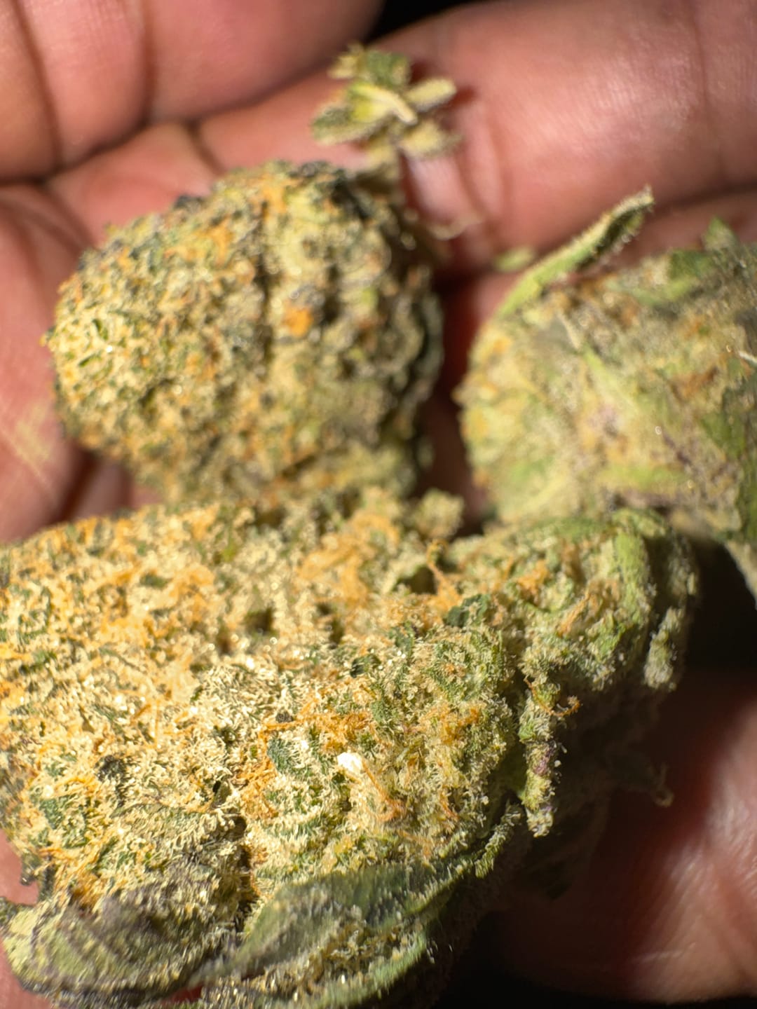 Customer photo review of Biscotti THCA Flower (Premium)