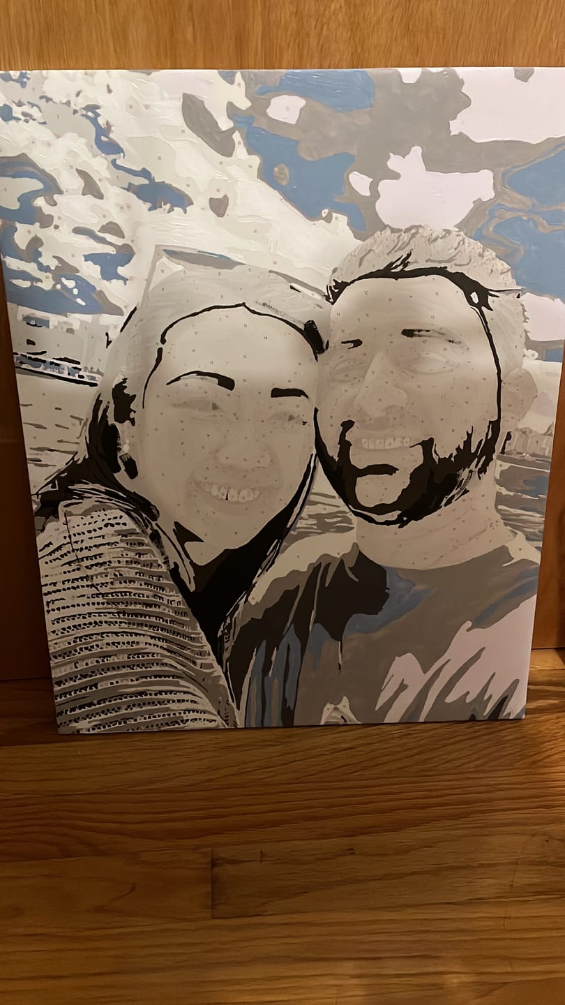Customer photo review of Paint by Number Kit