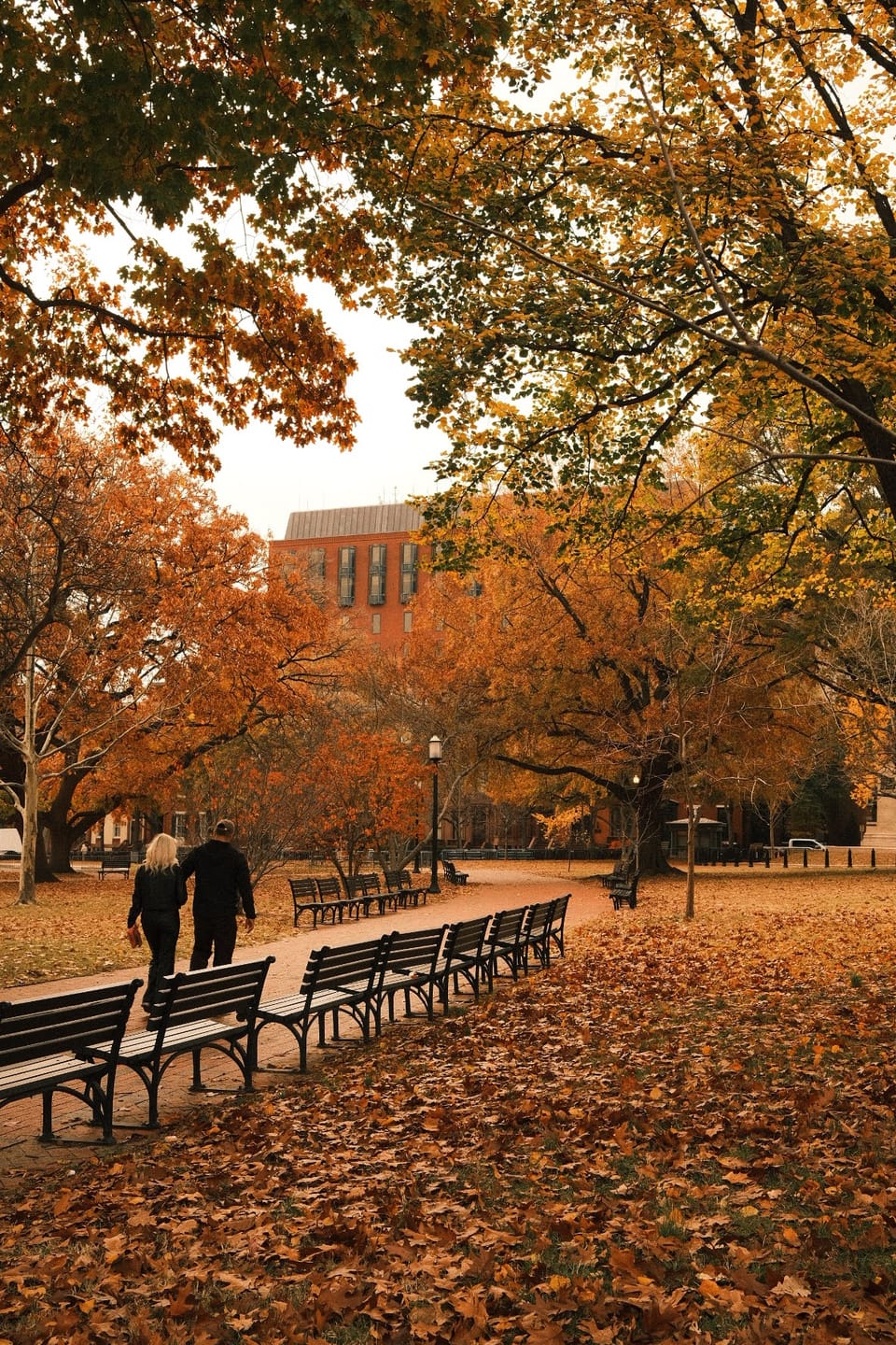Customer photo review of Cozy Autumn Lightroom Presets