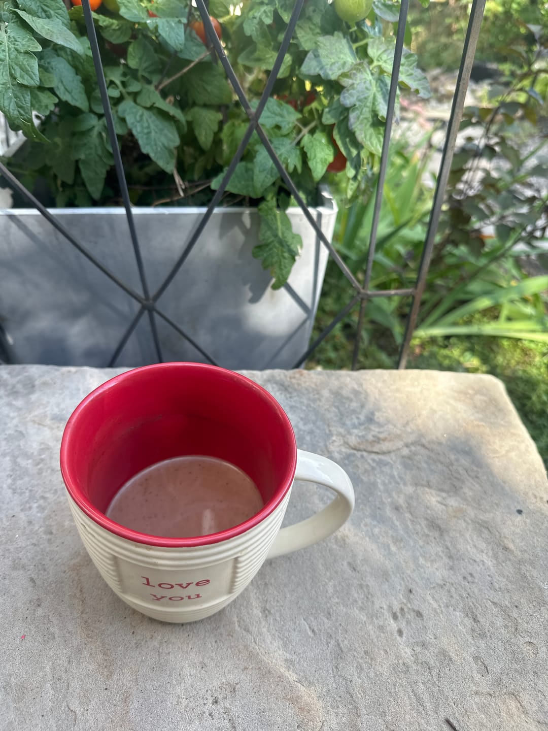 Customer photo review of 5 Mushroom Cacao