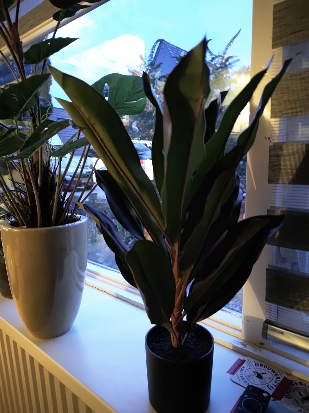 Customer photo review of Dracaena Kunstplant 60cm