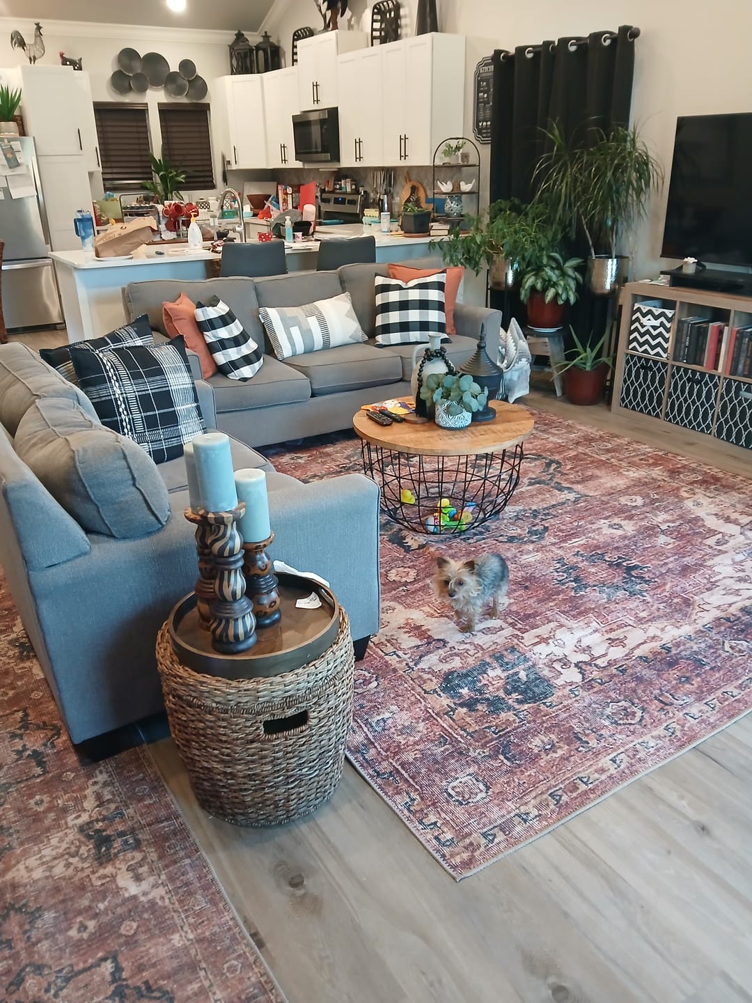 Customer photo review of Distressed Vintage Cezanne Area in Multicolor : Runner Rug