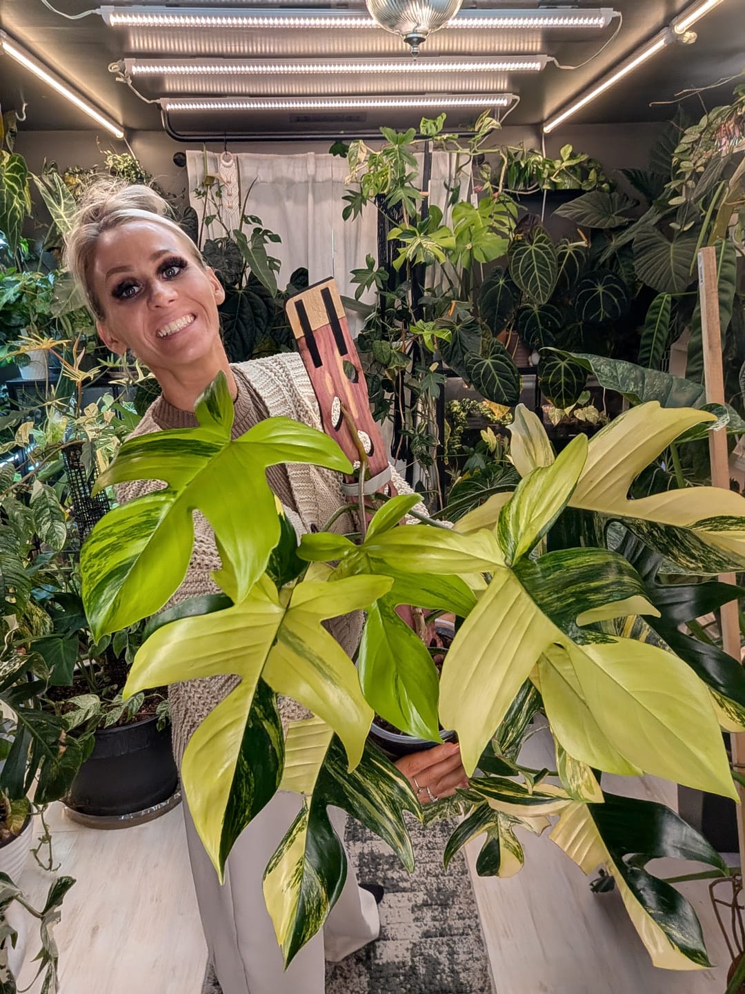 Customer photo review of Zella - Wooden Extendable Plant Support