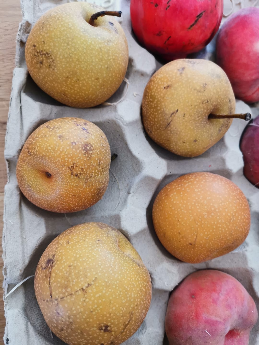Customer photo review of Birne "Nashi" Bio aus Frankreich