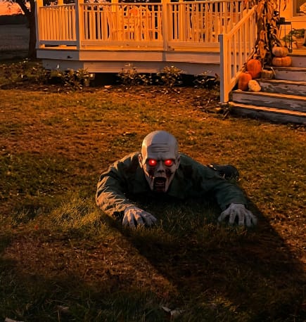 Customer photo review of Groundbreaker Zombie