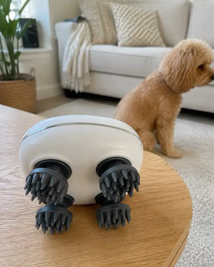 Customer photo review of Viva Pet Spa Handheld Massager