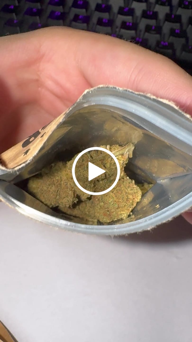 Customer video review of 💥 Diesel Dynamite - SATIVA TURBO LVL 5/5