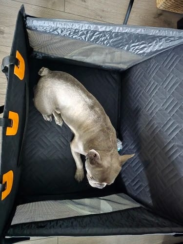Customer photo review of PawTrek Single Seat Hard Base Cover