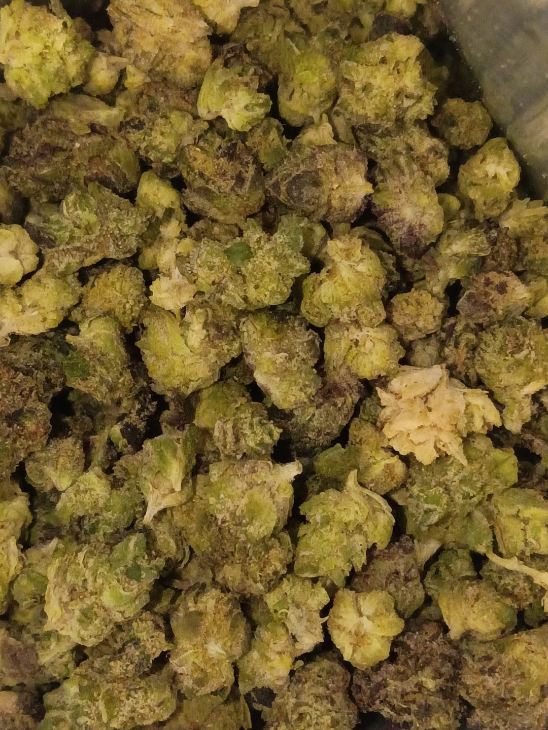 Customer photo review of Jungle Gelato - 28 Grams - Indica