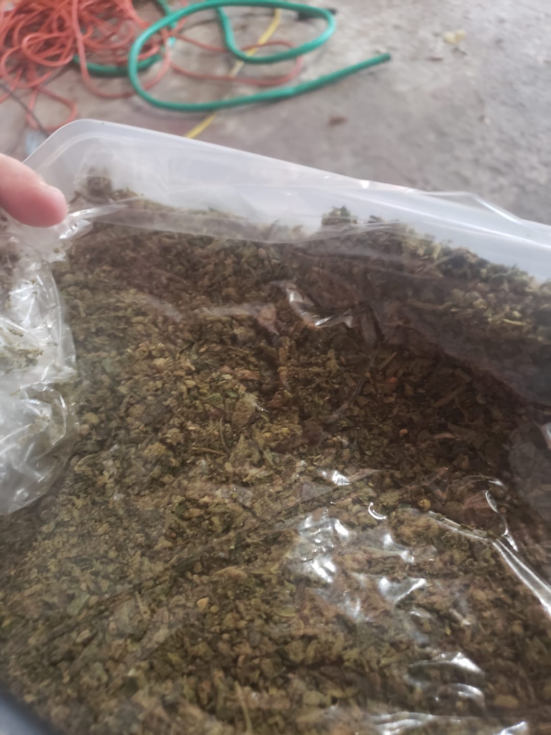 Customer photo review of No4. Purple Cream THCa Shake (Wholesale)