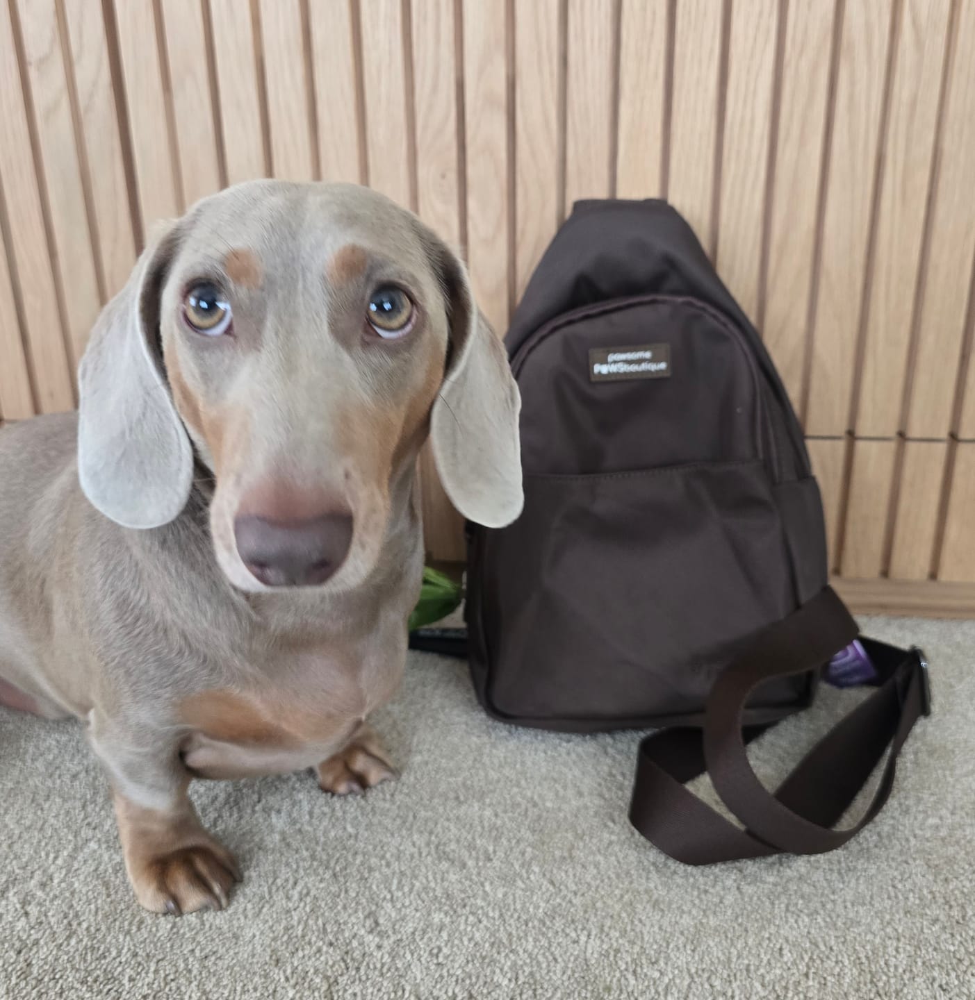 Customer photo review of Sling Backpack - Walkies Ready® Brown