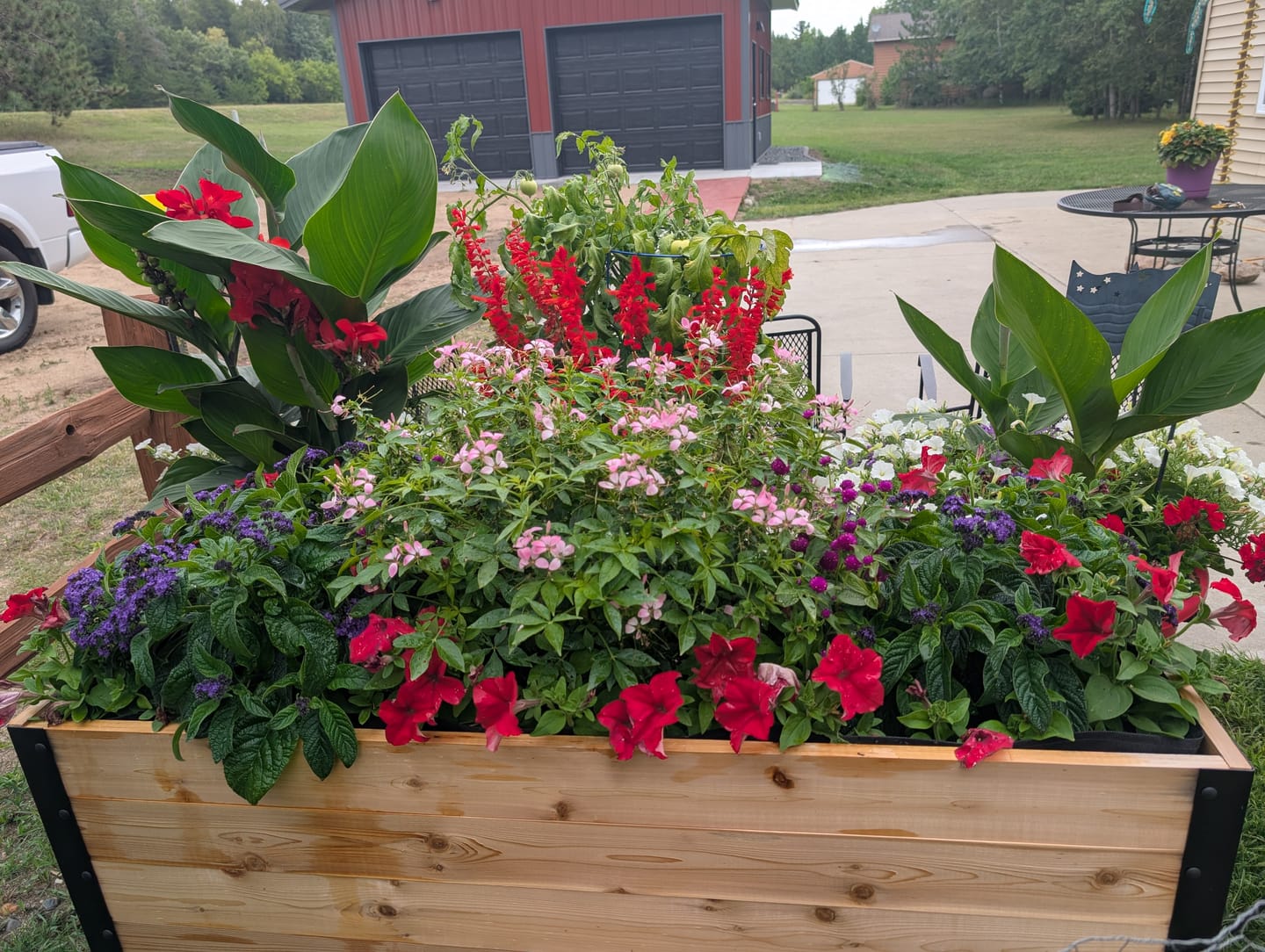 Customer photo review of 18″ x 48″ Deep Root Raised Garden Bed - 30″ TALL - Select Grade