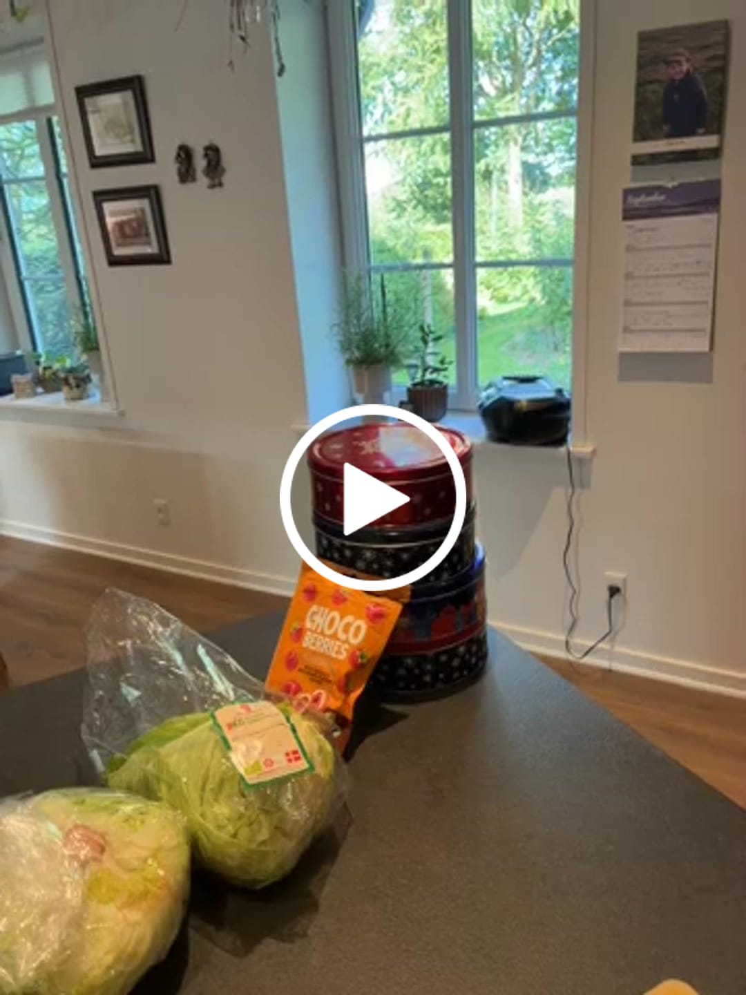 Customer video review of Ergonomisk Siddepude