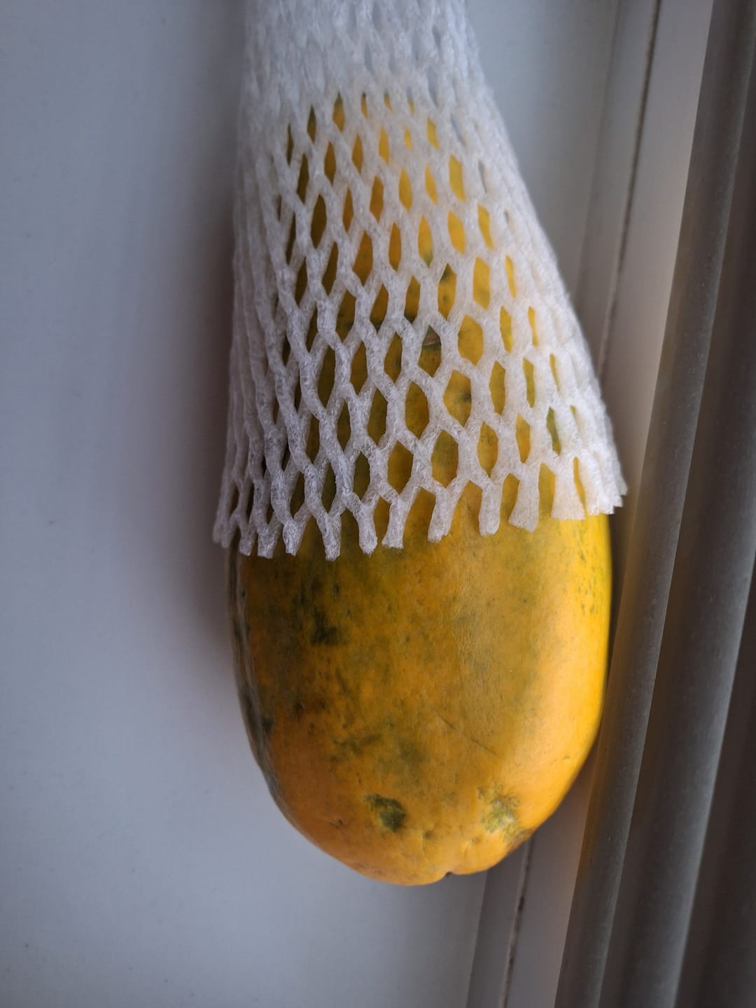 Customer photo review of Papaya Naturbelassen von Julian Wochenaktion %