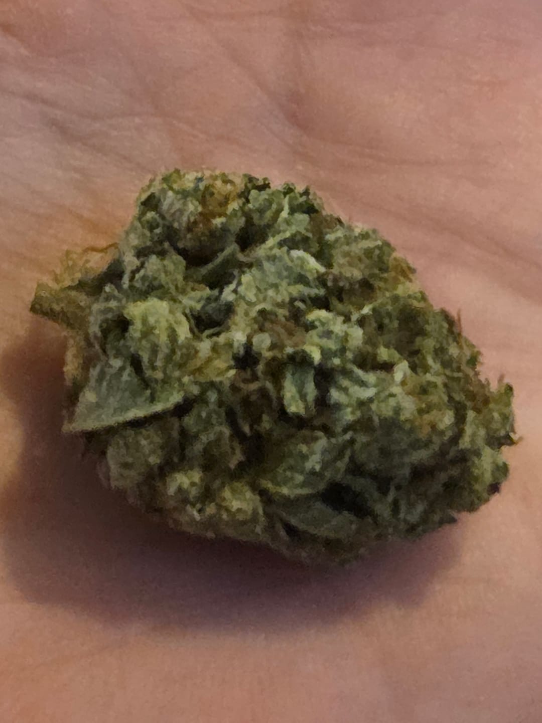 Customer photo review of West West Brand - Donny Burger - 14 Grams - Indica