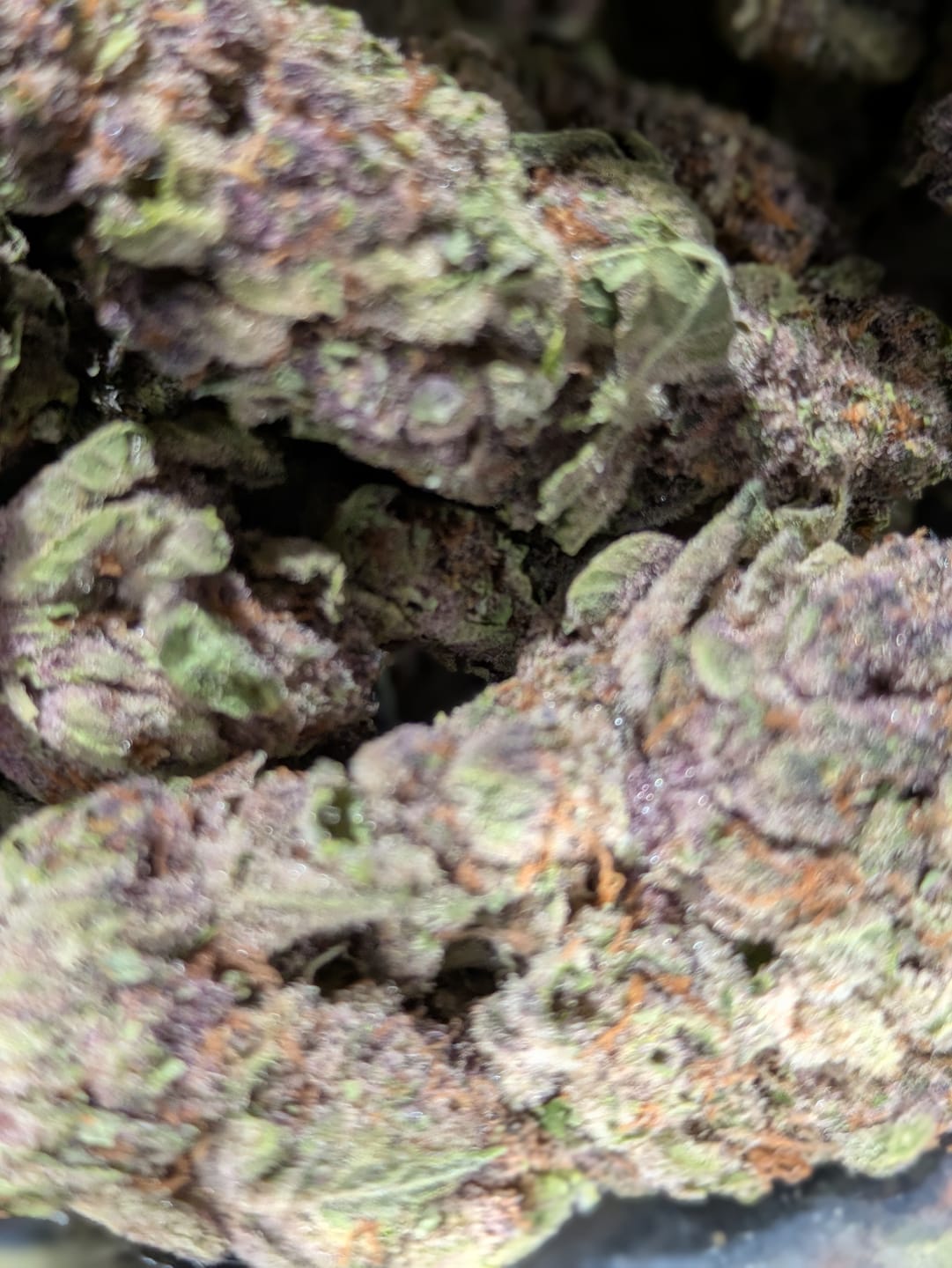 Customer photo review of Tropicana Cherry THCA Flower