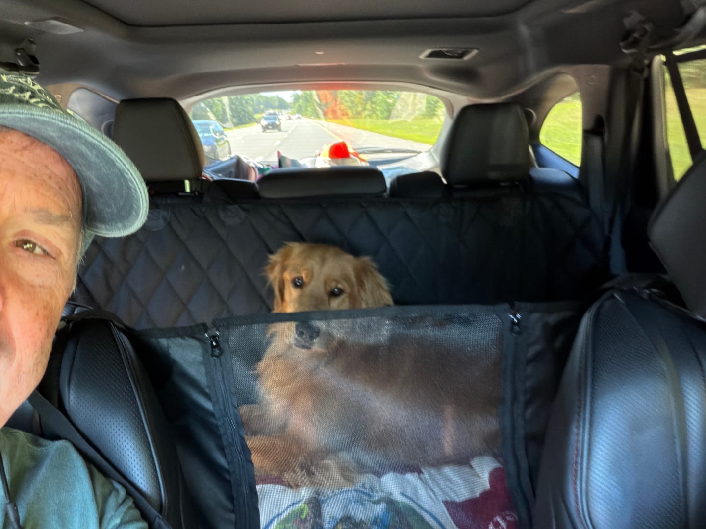 Customer photo review of 4Knines Hard Bottom Extender Car Seat Cover for Dogs - Regular