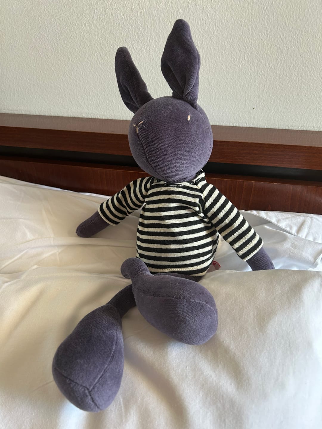 Customer photo review of DANIEL LE LAPIN - M/L
