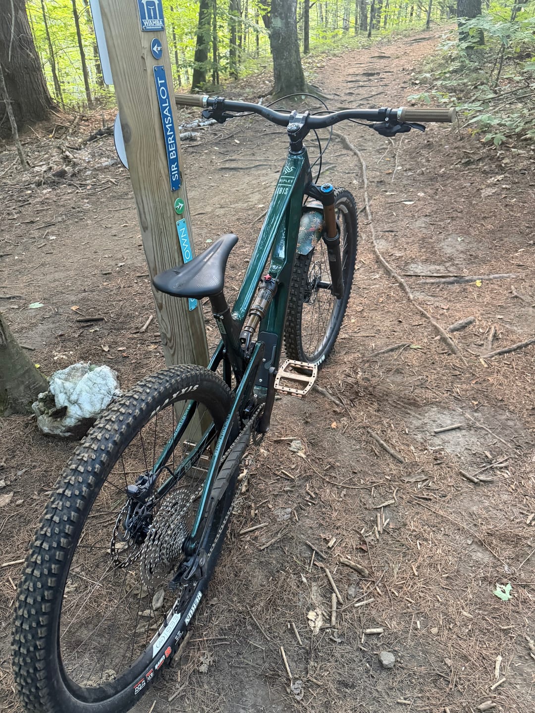 Customer photo review of Botanic Revival Fender