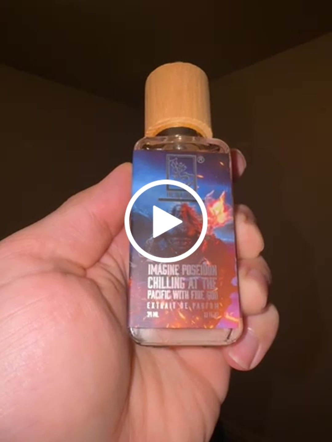 Customer video review of Imagine Poseidon Chilling At The Pacific With Fire God
