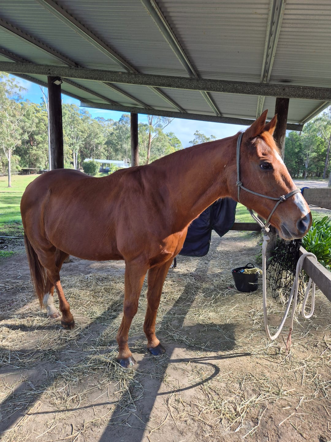Customer photo review of Digestive EQ