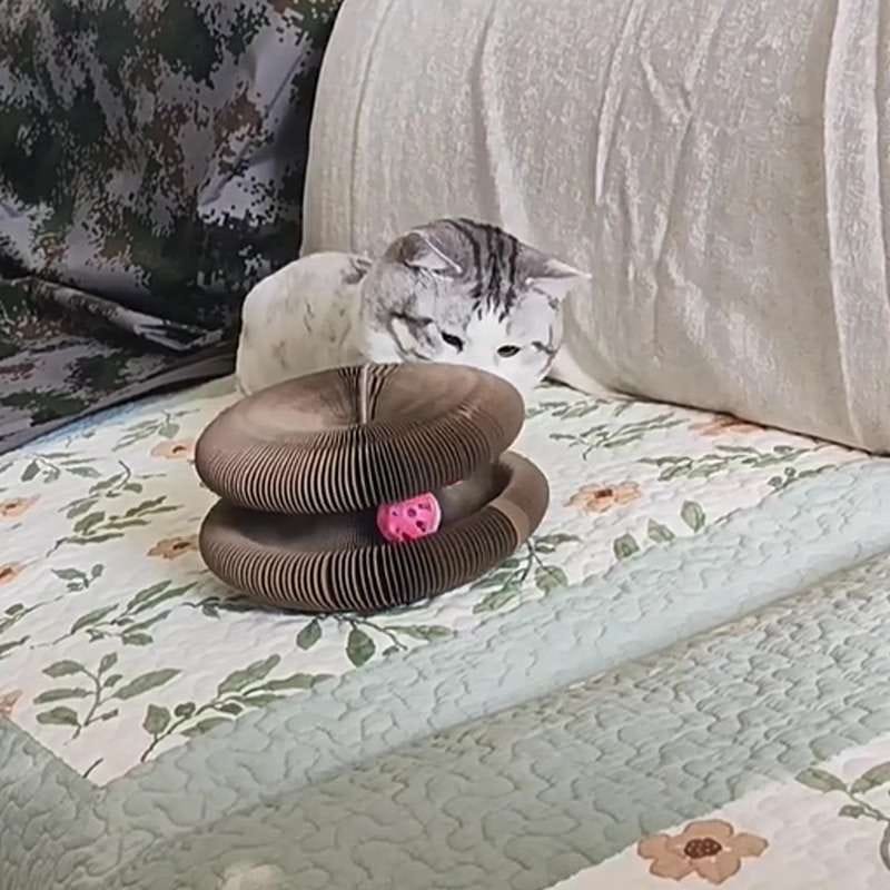 Customer photo review of İnteraktif Kedi Oyun Tüneli | Birleştirilebilir Tırmalama Oyuncağı