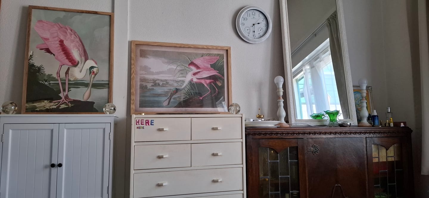 Customer photo review of Roseate Spoonbill by John James Audubon, 1827