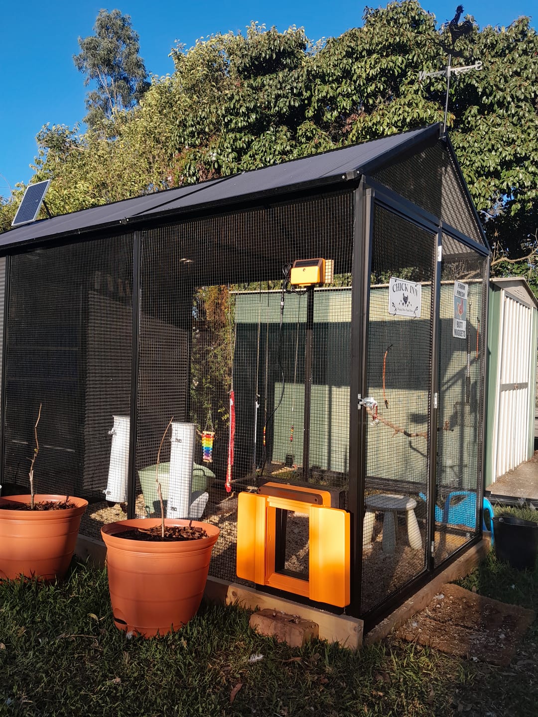 Customer photo review of Solar Automatic Chicken Coop Door