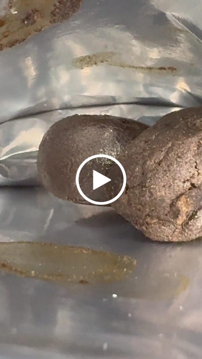 Customer video review of 👑 La Mousse Royale Hasch - SATIVA TURBO LVL 4/5