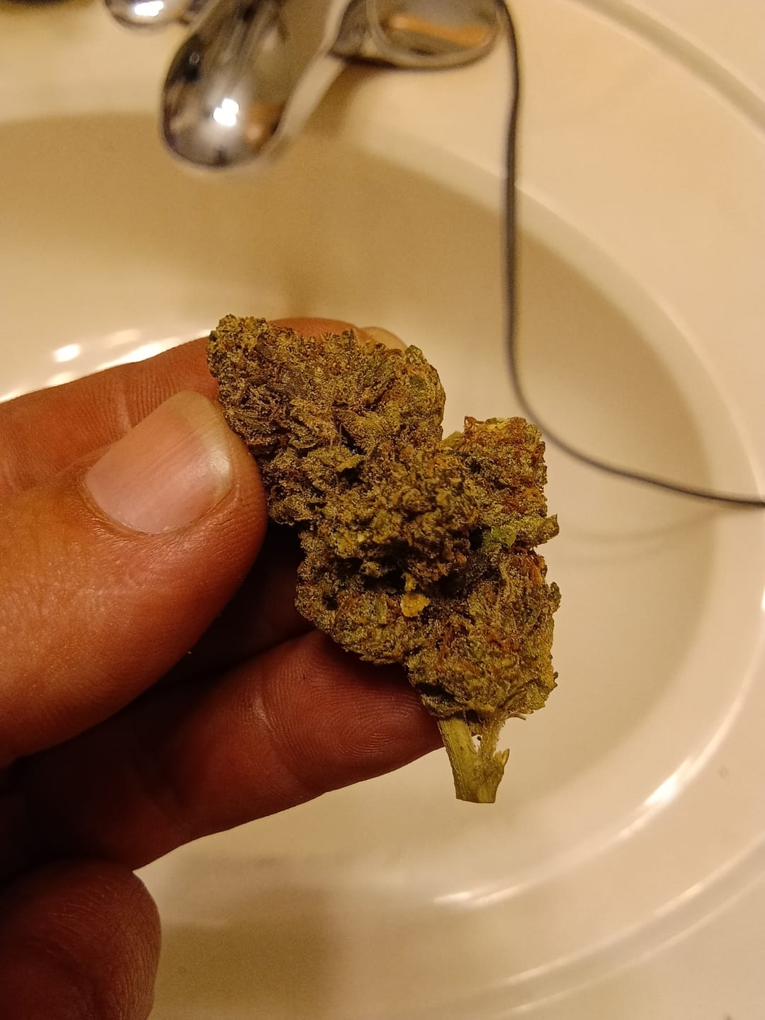 Customer photo review of THCA Queen