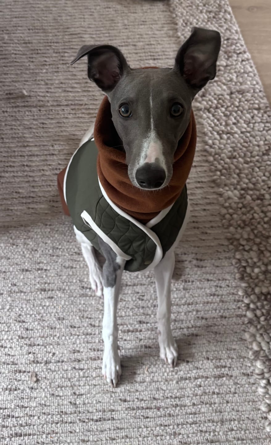 Customer photo review of Whippet Fleece