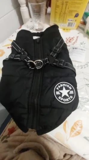 Customer photo review of My Furry King™ 3 in 1 Winter Jacket