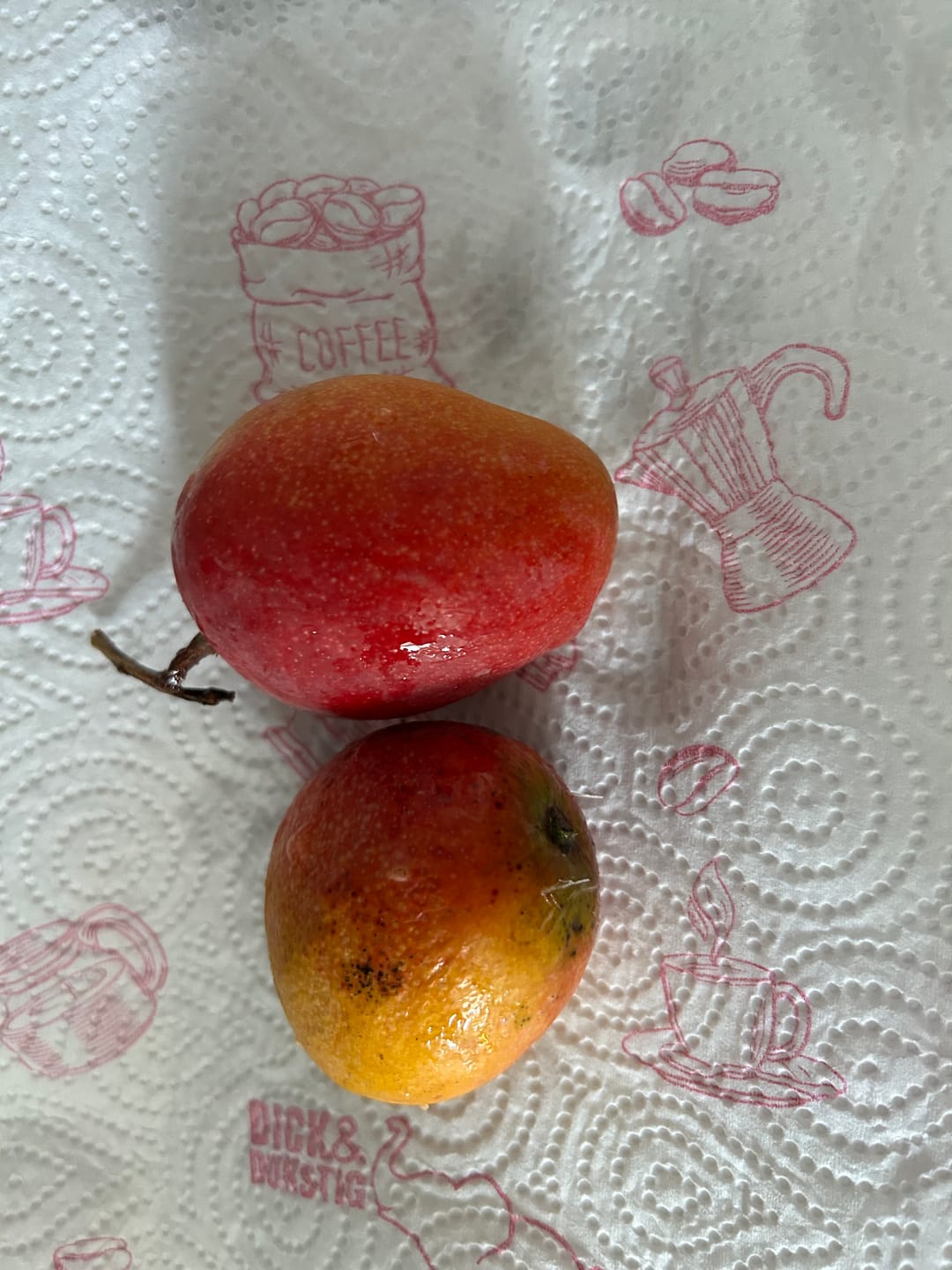 Customer photo review of Baby-Mango Irwin Bio von Julian