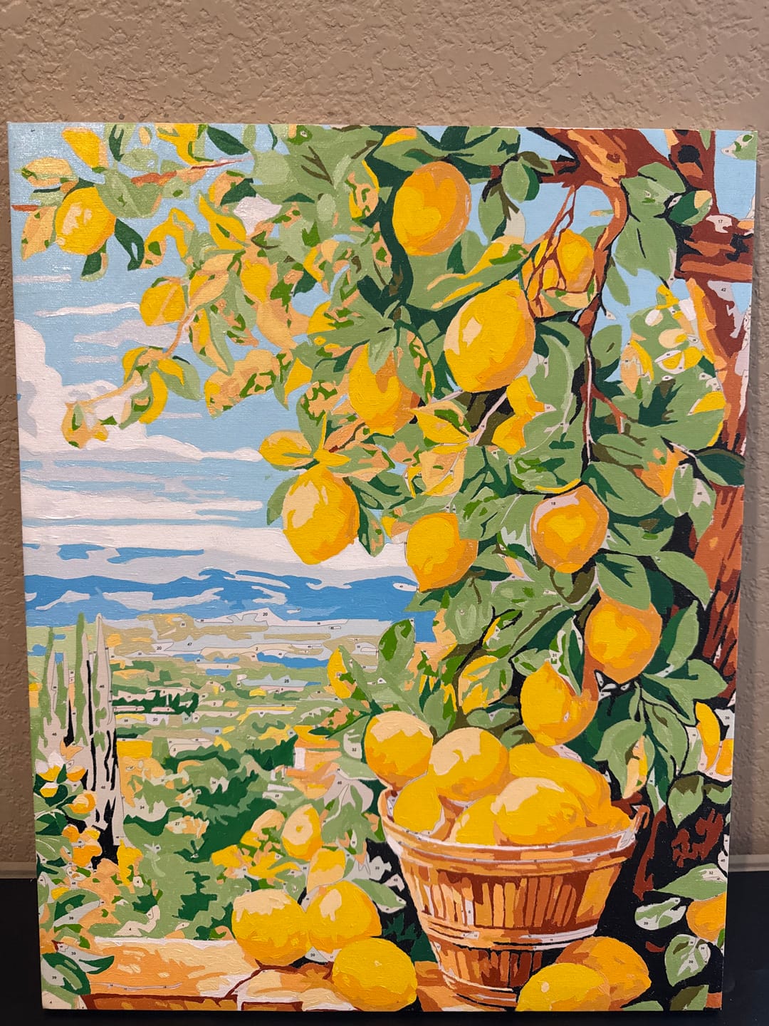 Customer photo review of Bounty Lemons