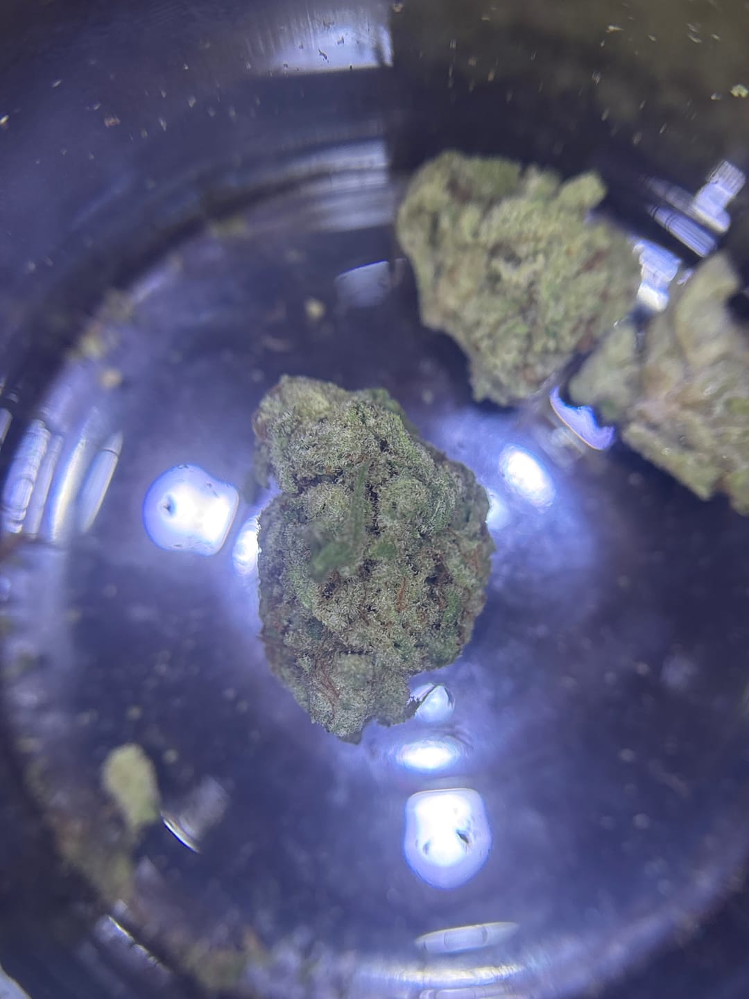Customer photo review of Strawberry Cough THCA Flower