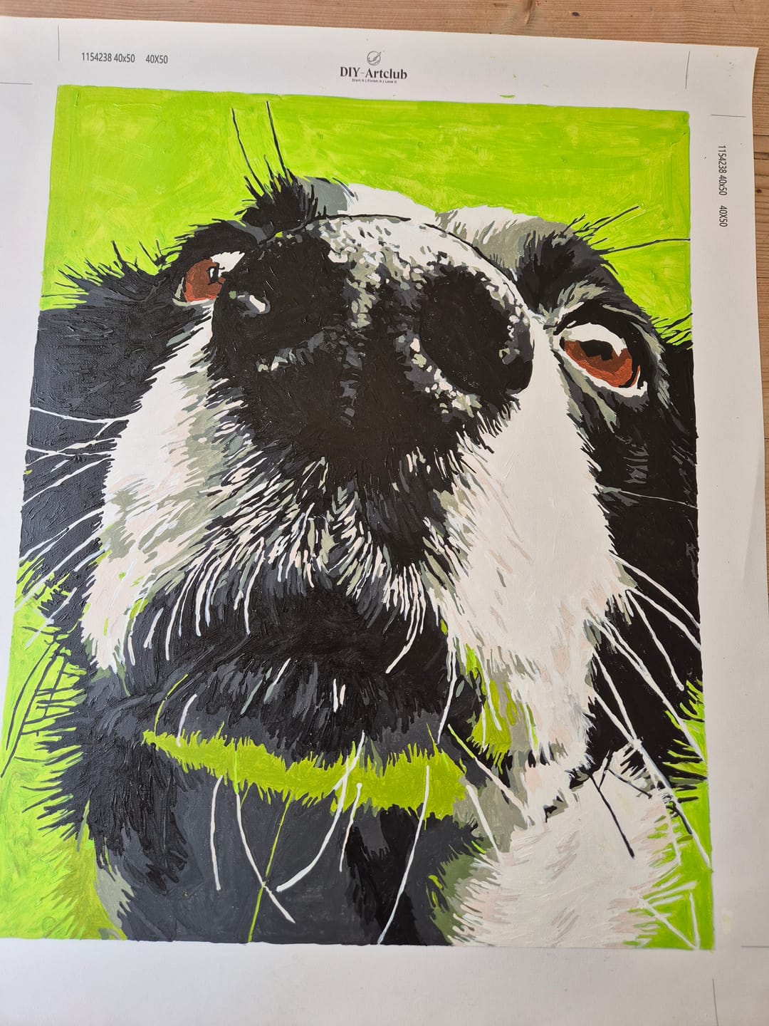 Customer photo review of Sniff Mode | Paint by Number